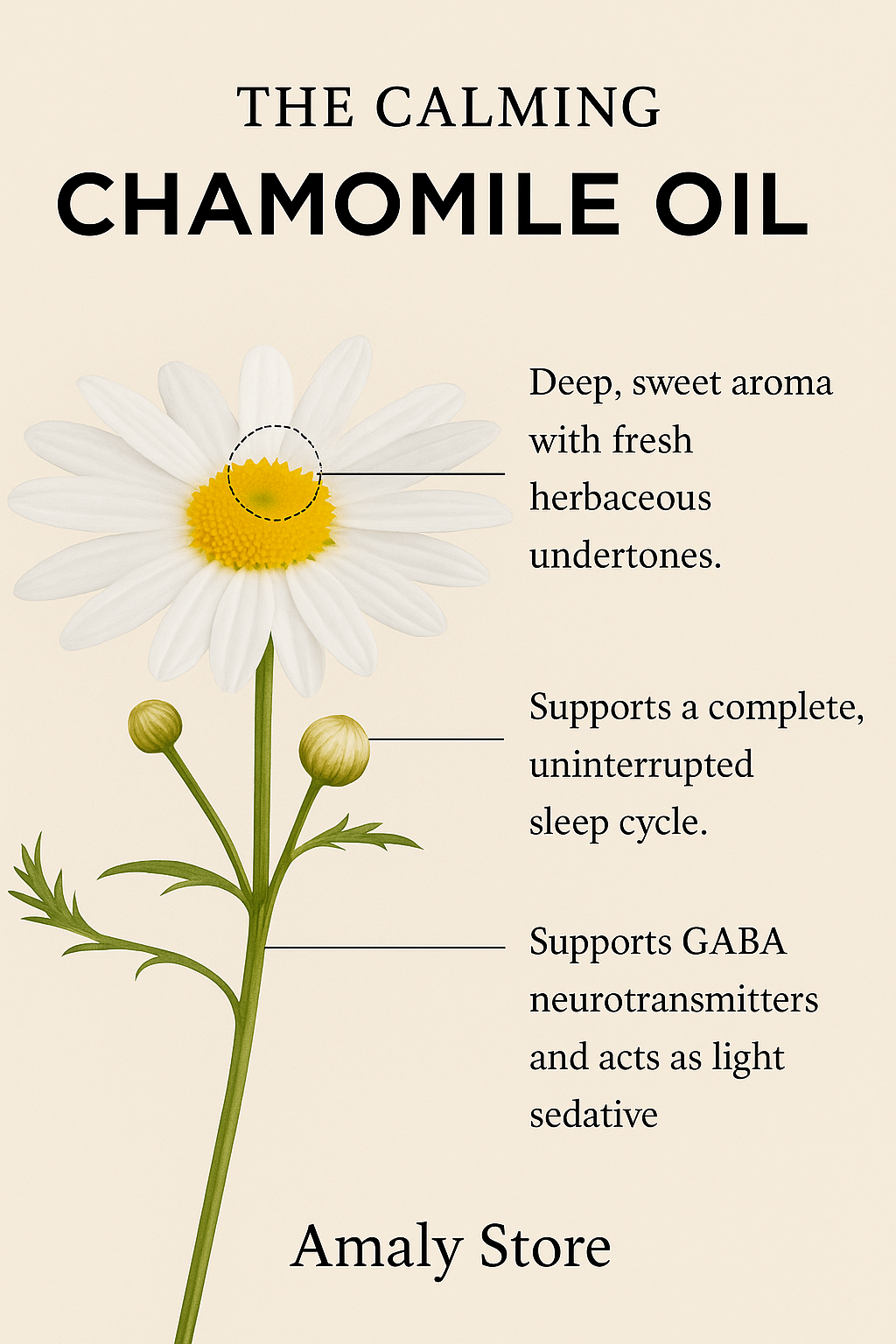 Chamomile Oil Benefits